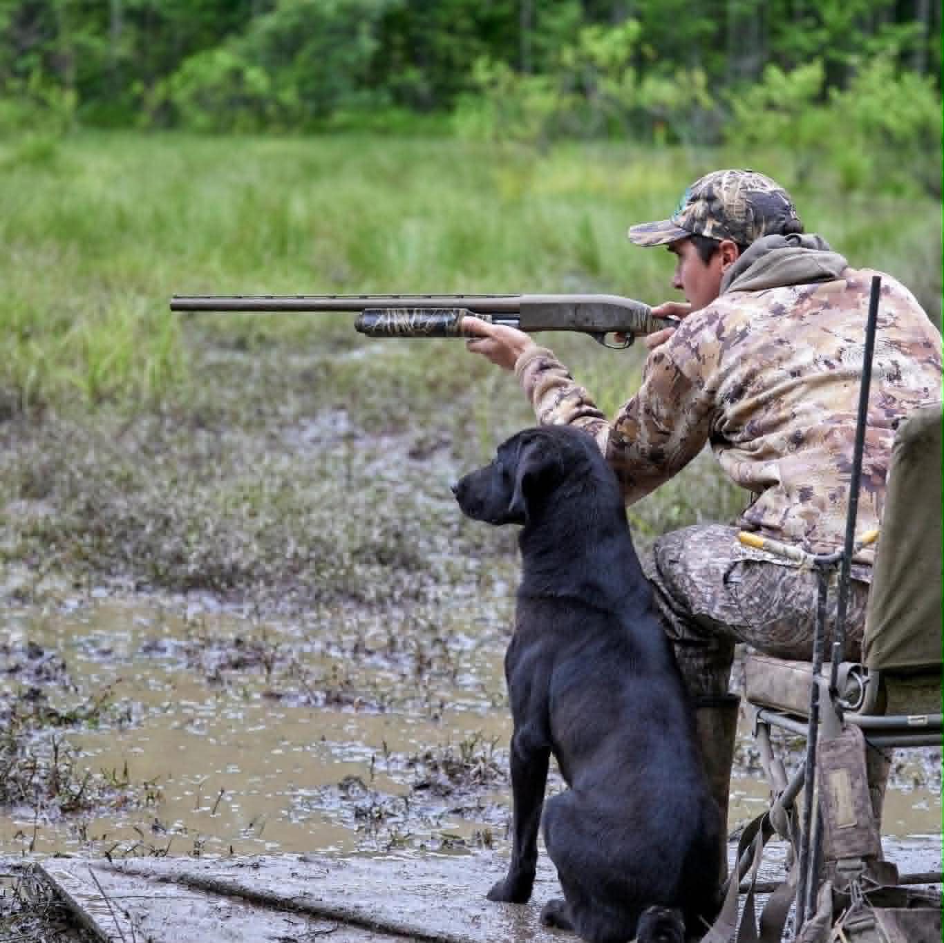 Building Better Gun Dogs with Seth Fontenot